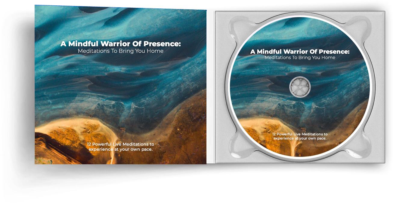 Mindful Warrior CD